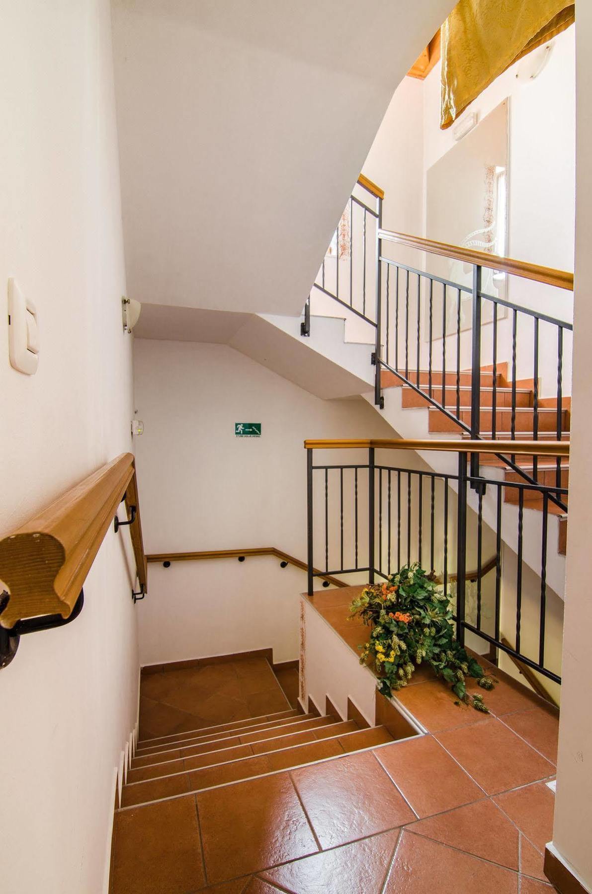Villa Calussovo Ripenda Kras Bagian luar foto